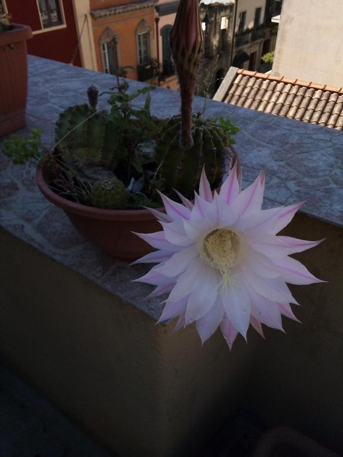 B&B antica città Cagliari Extérieur photo